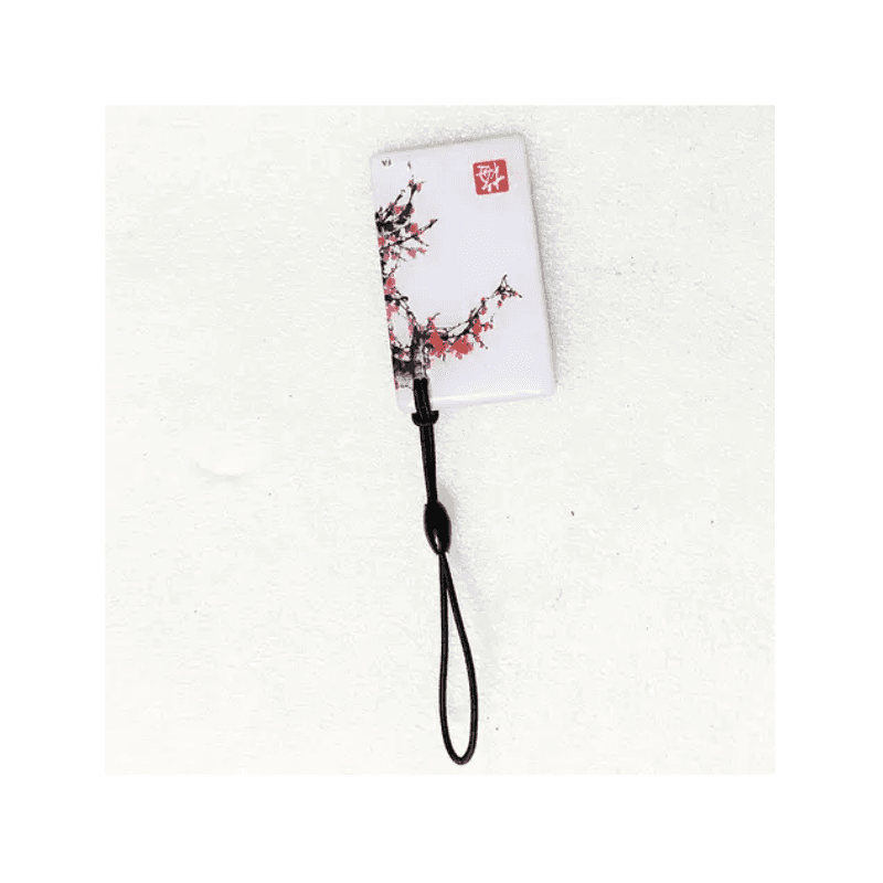 Smart RFID 13.56Mhz Token Key Card