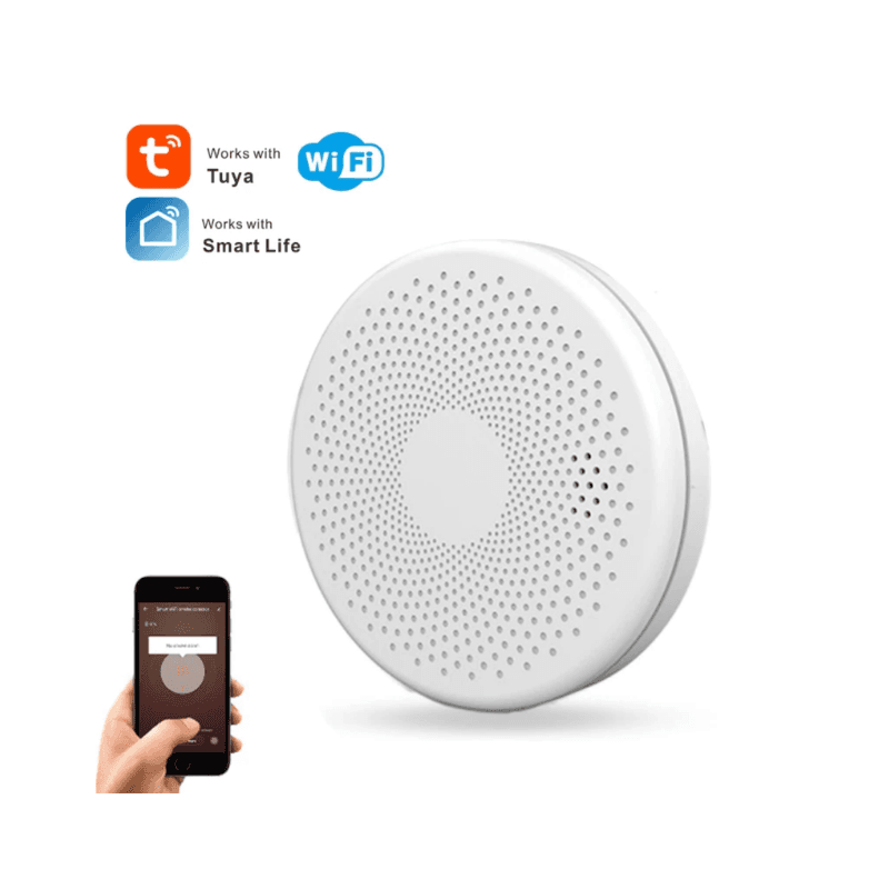 Smoke and Carbon Monoxide Detector Alarm