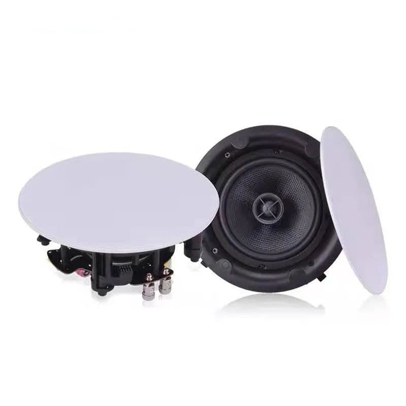 Ceiling Speaker