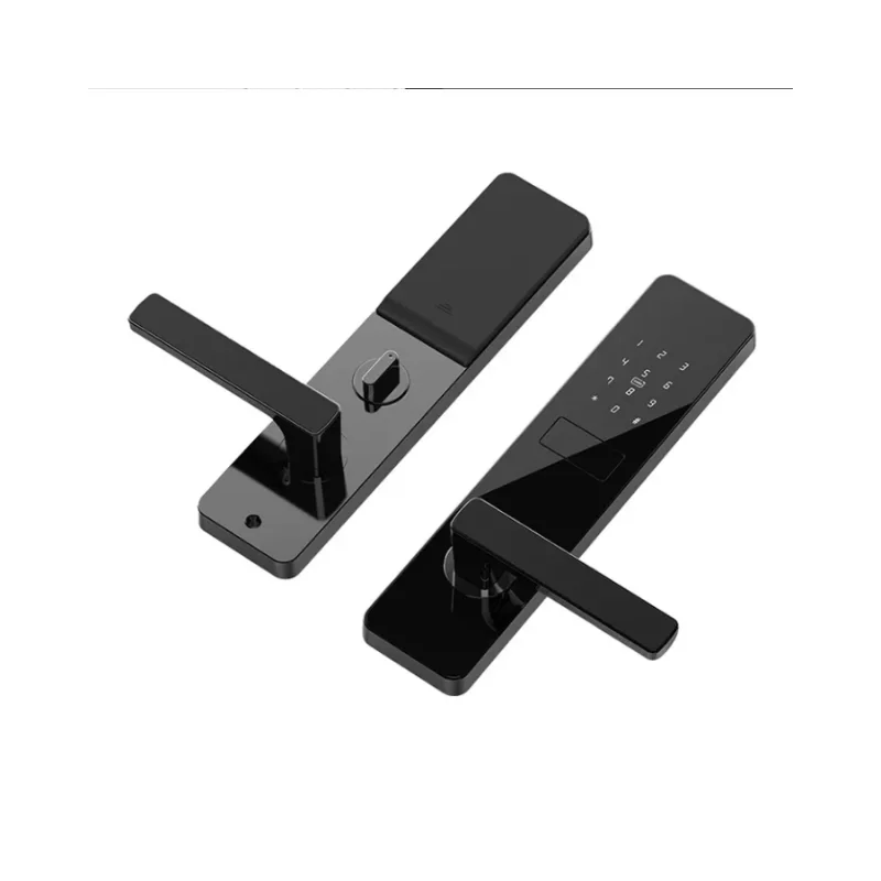 Contemporary Smart Tthotel/Ttlock Hotel, Apartment Lock